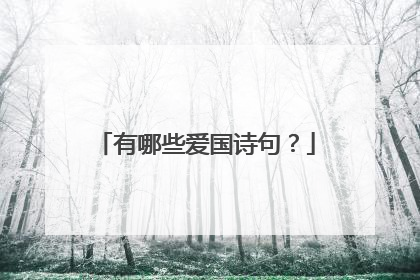 有哪些爱国诗句?