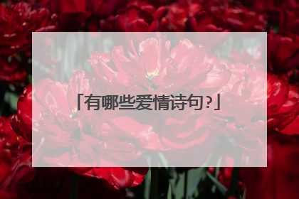 有哪些爱情诗句?