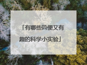 有哪些简便又有趣的科学小实验