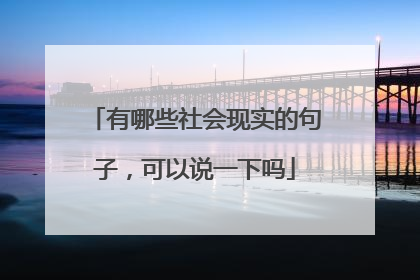 有哪些社会现实的句子，可以说一下吗