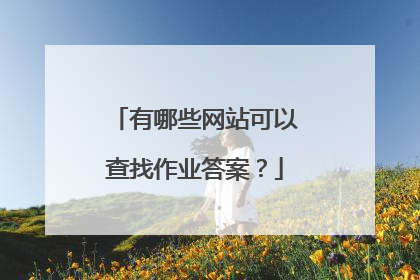 有哪些网站可以查找作业答案?