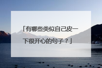 有哪些类似自己皮一下很开心的句子?
