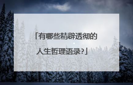 有哪些精辟透彻的人生哲理语录?