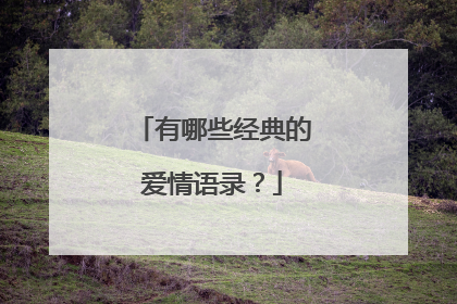 有哪些经典的爱情语录?