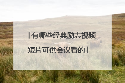 有哪些经典励志视频短片可供会议看的