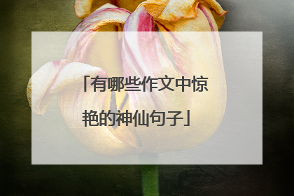 有哪些作文中惊艳的神仙句子