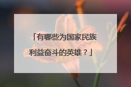 有哪些为国家民族利益奋斗的英雄？