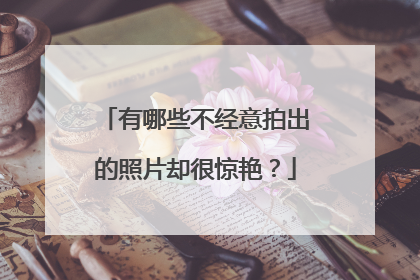 有哪些不经意拍出的照片却很惊艳?