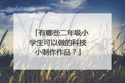 有哪些二年级小学生可以做的科技小制作作品?