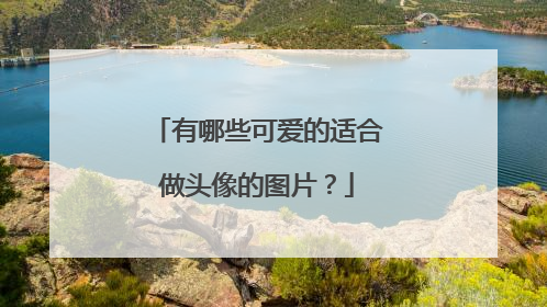 有哪些可爱的适合做头像的图片?