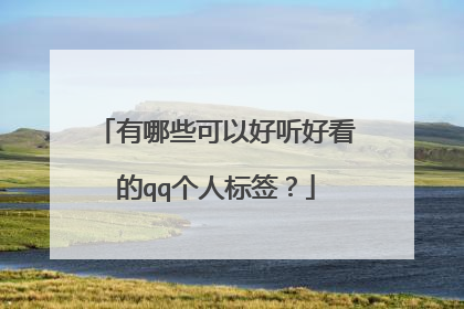 有哪些可以好听好看的qq个人标签?