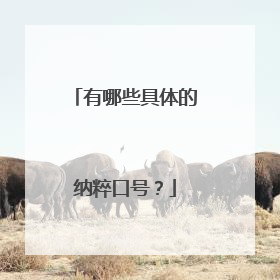 有哪些具体的纳粹口号?