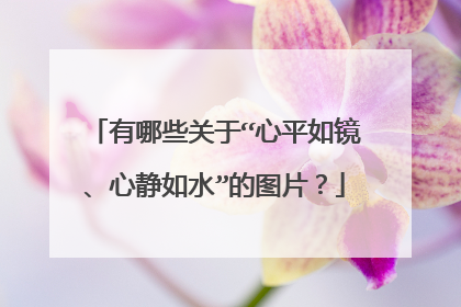 有哪些关于“心平如镜、心静如水”的图片？