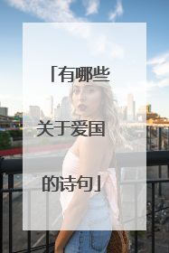 有哪些关于爱国的诗句
