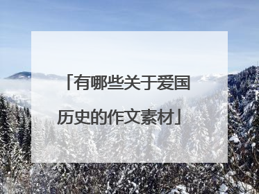 有哪些关于爱国历史的作文素材