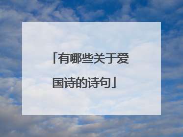 有哪些关于爱国诗的诗句