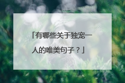 有哪些关于独宠一人的唯美句子？