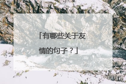有哪些关于友情的句子？