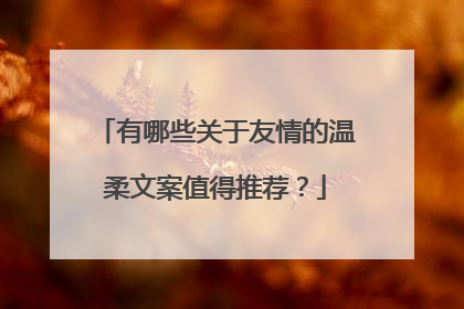 有哪些关于友情的温柔文案值得推荐?