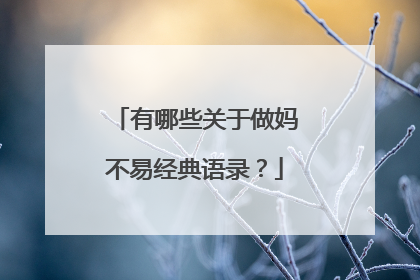 有哪些关于做妈不易经典语录?