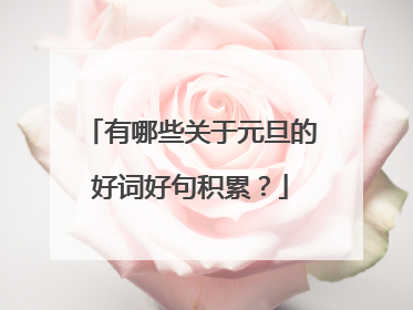 有哪些关于元旦的好词好句积累?