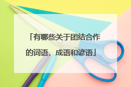 有哪些关于团结合作的词语、成语和谚语