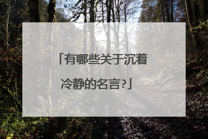 有哪些关于沉着冷静的名言?