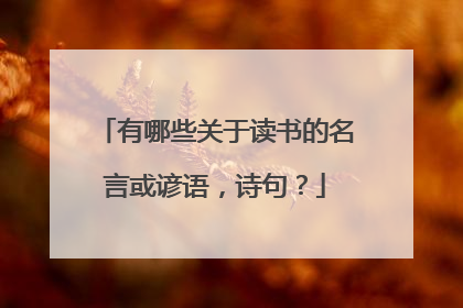 有哪些关于读书的名言或谚语,诗句?