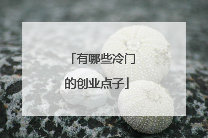 有哪些冷门的创业点子