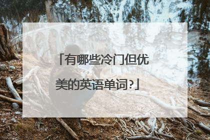 有哪些冷门但优美的英语单词?