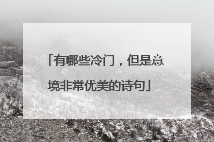 有哪些冷门,但是意境非常优美的诗句