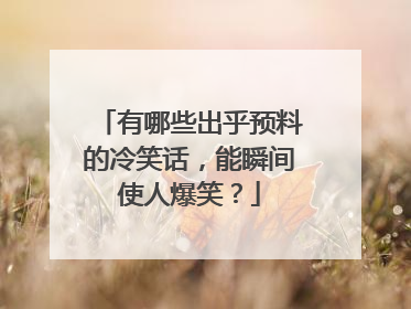 有哪些出乎预料的冷笑话,能瞬间使人爆笑?