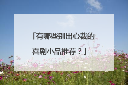 有哪些别出心裁的喜剧小品推荐？