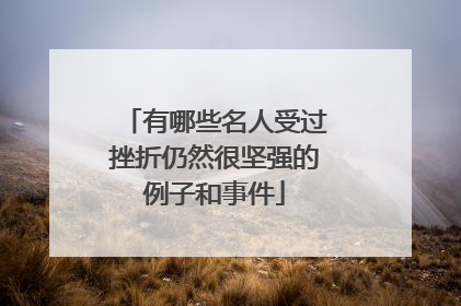 有哪些名人受过挫折仍然很坚强的例子和事件