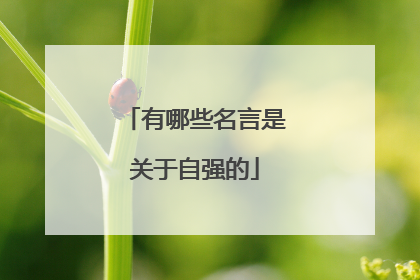 有哪些名言是关于自强的