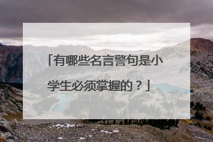 有哪些名言警句是小学生必须掌握的？