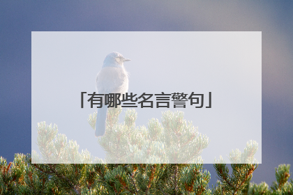有哪些名言警句
