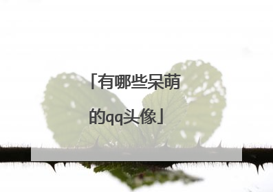 有哪些呆萌的qq头像