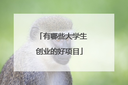 有哪些大学生创业的好项目
