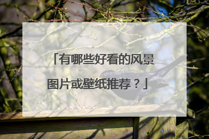有哪些好看的风景图片或壁纸推荐？