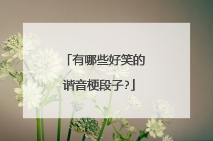 有哪些好笑的谐音梗段子?