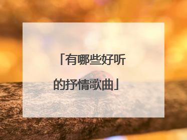 有哪些好听的抒情歌曲