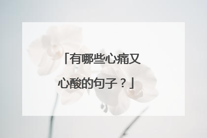 有哪些心痛又心酸的句子?