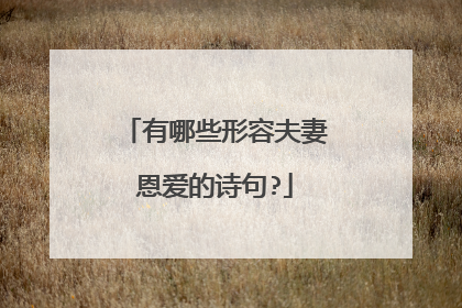 有哪些形容夫妻恩爱的诗句?