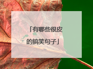 有哪些很皮的搞笑句子