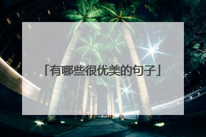 有哪些很优美的句子