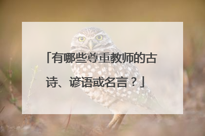 有哪些尊重教师的古诗、谚语或名言?