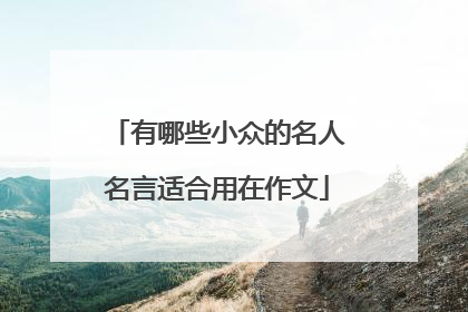 有哪些小众的名人名言适合用在作文