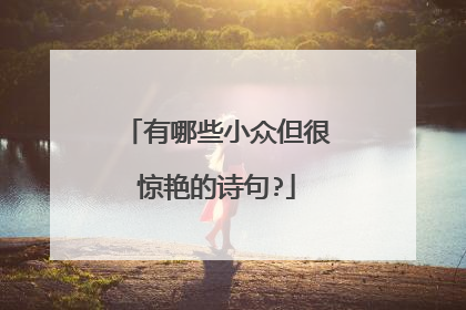 有哪些小众但很惊艳的诗句?