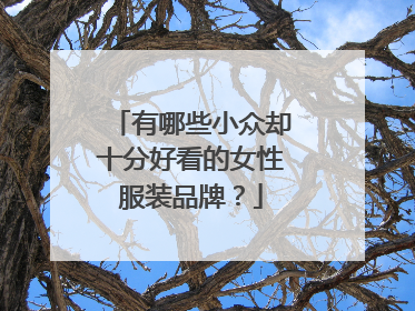 有哪些小众却十分好看的女性服装品牌?